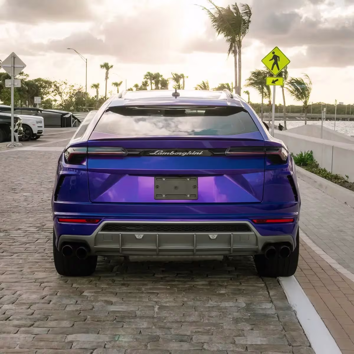2021 Purple Lamborghini Urus Rental in Miami, FL